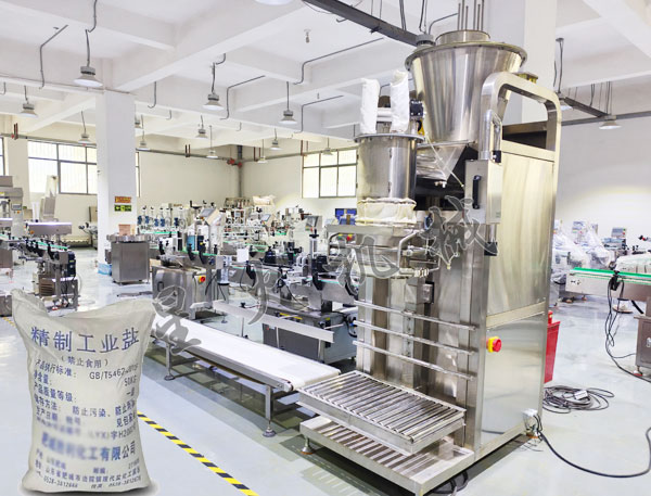 成都工業(yè)鹽自動包裝機實拍圖